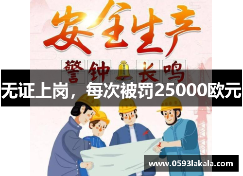 无证上岗，每次被罚25000欧元